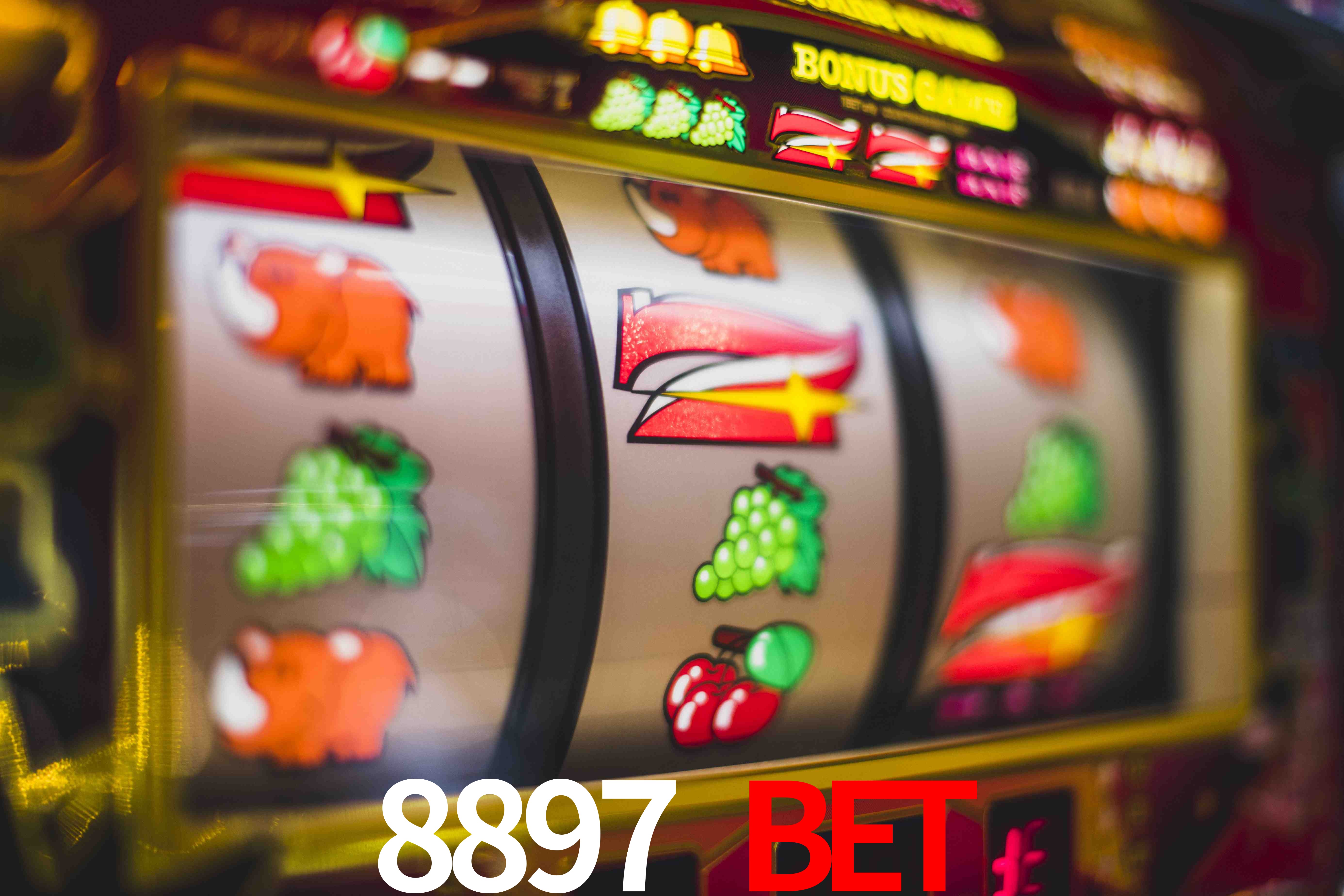 Basketball Betting 8897 bet